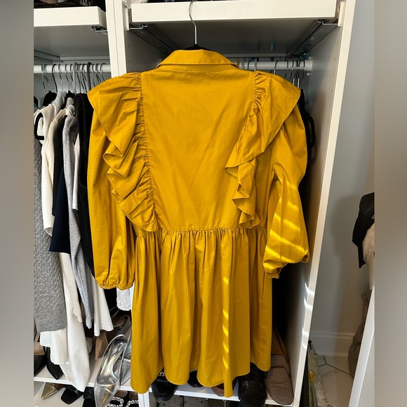 Zara Dress - Picture 2 of 4